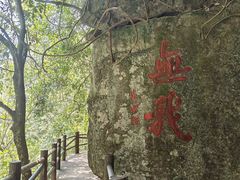 -溪口-滕头旅游景区