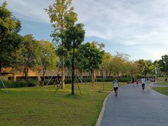 -宝安西湾红树林湿地公园