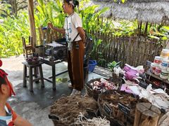 -大象粑粑造纸公园