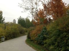 -群力丁香公园