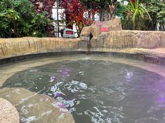 -悦隆庄温泉度假酒店