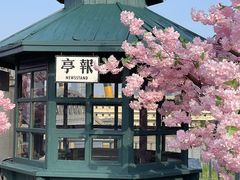 -武汉知音号