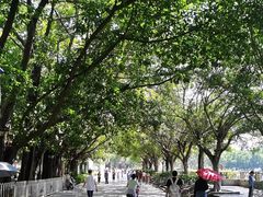 -黄埔古港