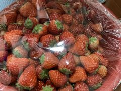 -南京众彩农副产品配送有限公司