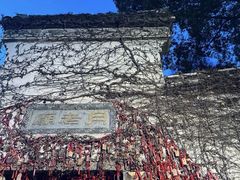 -乌镇景区