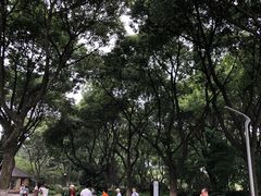 -昆山城市生态森林公园