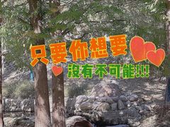 -白水寺森林公园