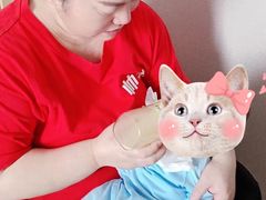 -汇慈安·高端自营月嫂(武汉月子尊享店)