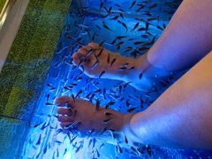 -汤连得温泉馆(宝山店)