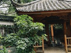 -山大王菌莊
