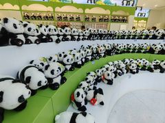 -秦皇岛野生动物园