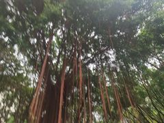 -江头公园