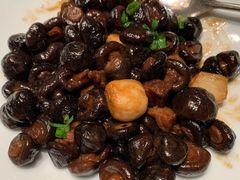 黄山野生扣子菇-同庆楼(金宝汇店)