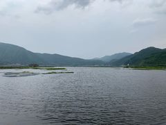 -腾冲北海湿地