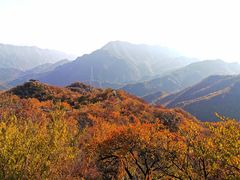 -大岭沟猕猴桃谷风景区