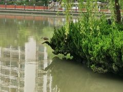 -苏州河梦清园环保主题公园