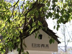 -日出青木