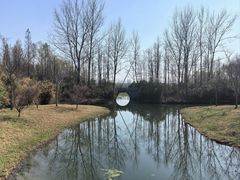 -溱湖国家湿地公园