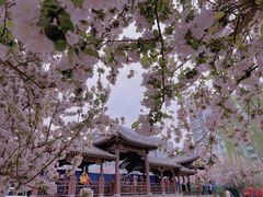 -海棠花溪(元大都城垣遗址公园)