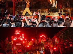 -长鹿旅游休博园