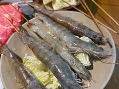 -阳阳老火锅(小南门店)