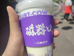 -一只酸奶牛(八一路店)