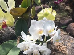 -南通洲际绿博园