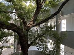 -湖北美术学院(昙华林校区)