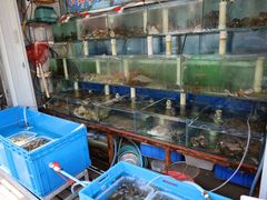 水产区-来之顺海鲜菜馆·青岛菜(栈桥店)