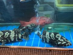 -阳光码头海鲜火锅(世纪大道店)