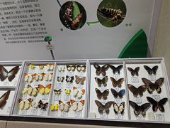 -烟台市博物馆