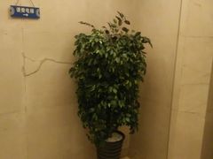 -蓝堡俱乐部