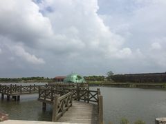 -上海都市菜园