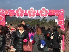 -香雪海