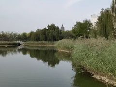 -西海子公园