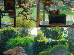 -云溪植物园