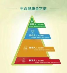 -雅曼妮spa美容养生