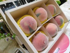 -茉里乐章(花园店)