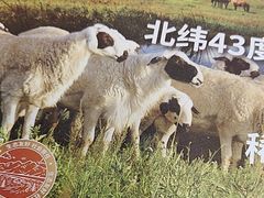 -呷哺呷哺(西单大悦城店)