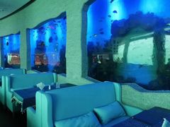 -瑞德姆美人鱼海底演艺主题餐厅(亚龙湾店)