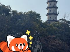 -江心屿景区