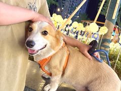 -万达广场(无锡滨湖店)