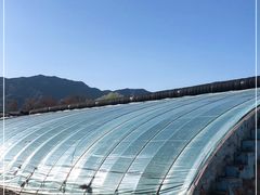 -大自然农场蔬菜草莓采摘园