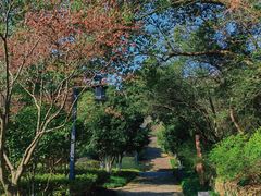 -杭州半山国家森林公园