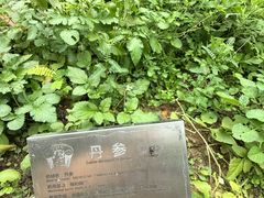 -广州神农草堂中医药博物馆