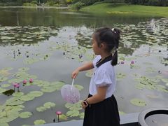 -云溪植物园