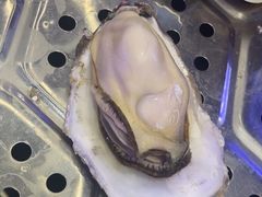 -巧克力渔家.小船海鲜家常菜(三浴场店)