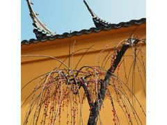 -无锡梅园公园