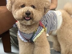 -美联众合动物医院·24h京西诊疗中心