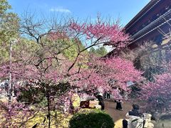 -庐山风景名胜区-东林大佛